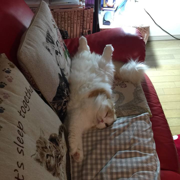 3537620f d4d6 4b28 a759 a8e913370c53