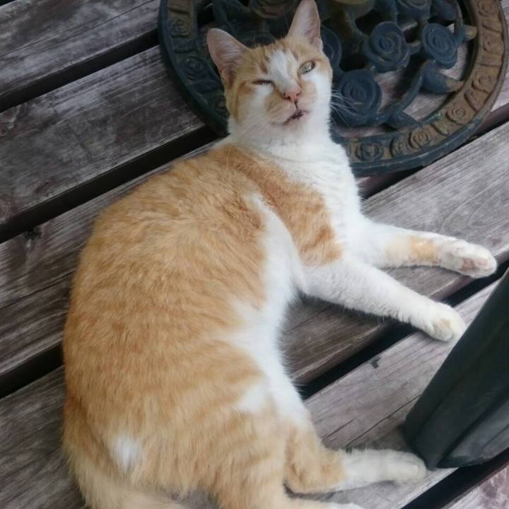 353769b7 b696 4da9 86e7 5a68c3b80869