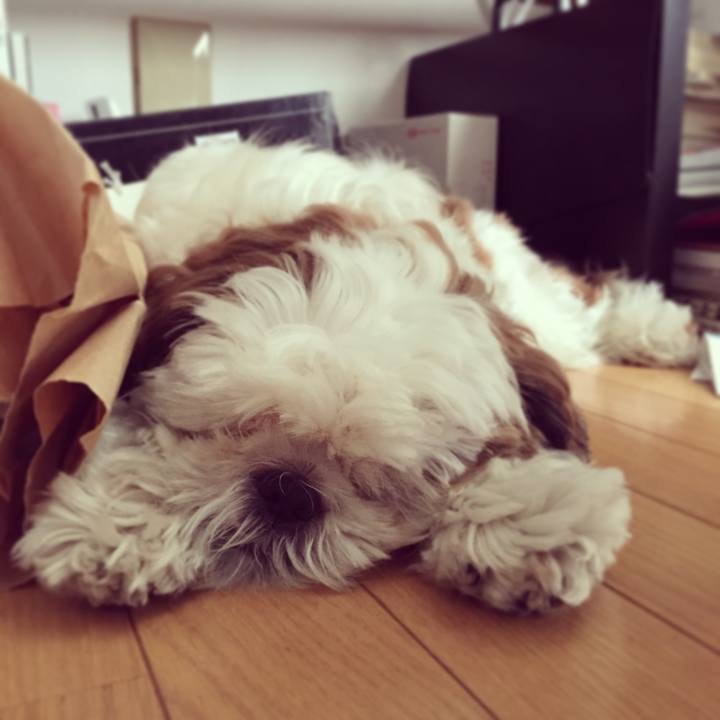 35376a88 0b0d 4973 be32 10ed6ca82fa0