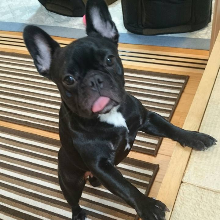 3537e9fa 21c4 4524 8251 d572c45668b6