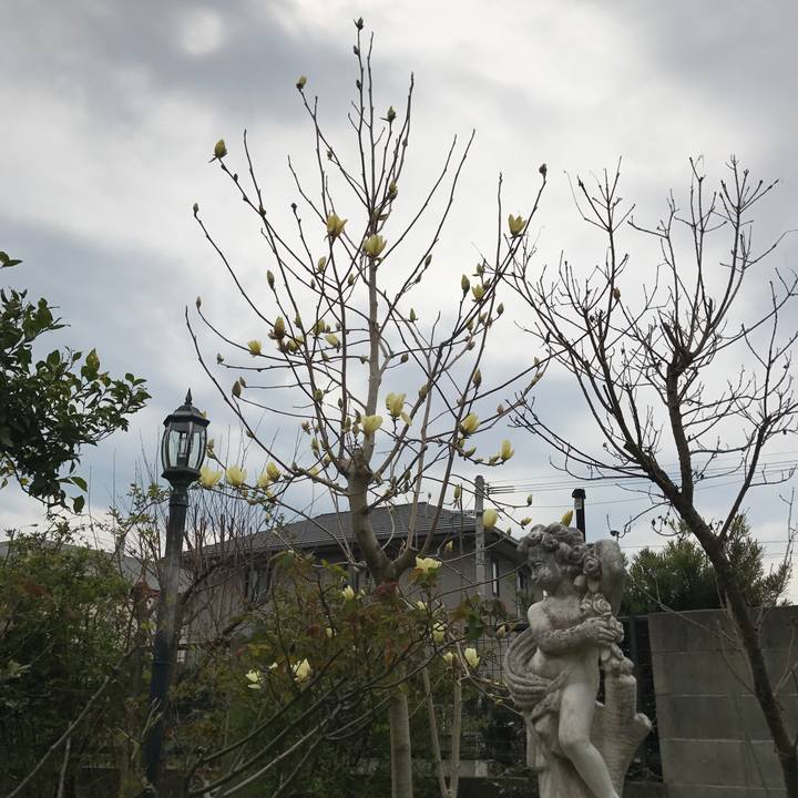 3537efde 2295 4c37 8348 a57ca77af9e5