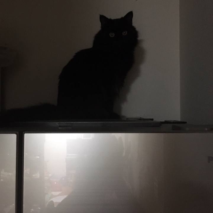 35391040 8ae9 41cf b678 96622cec6250