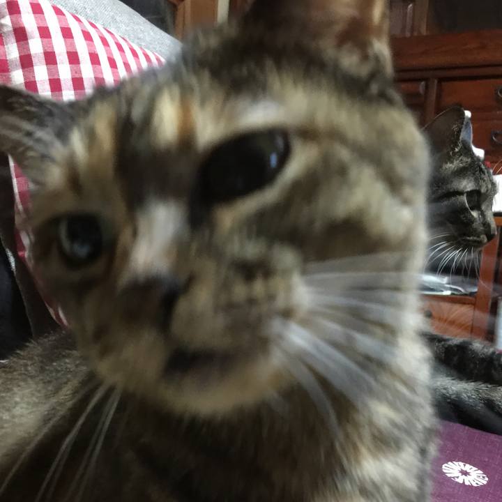 35394c04 953f 457e 8e57 76350cbab446