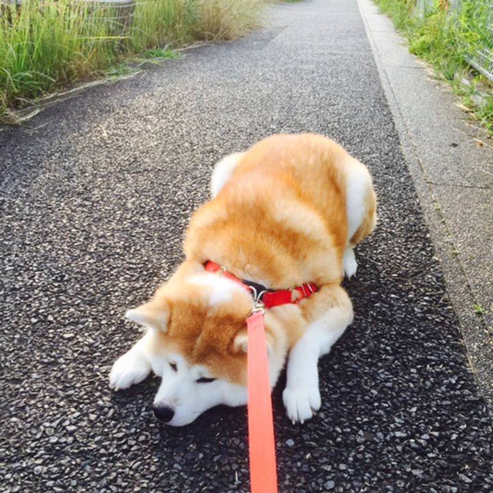 35395353 b097 4a9a a004 00362a6c1763