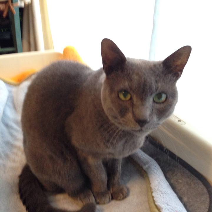 353981f4 dae0 4409 a701 9a7e17f118d5