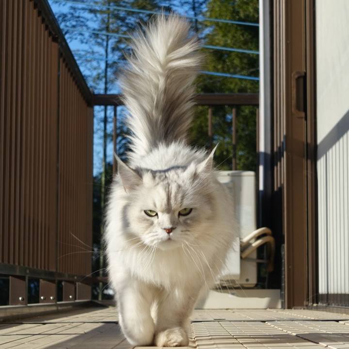 353aa80b 515c 45ff 84e3 a09dcf9130e2