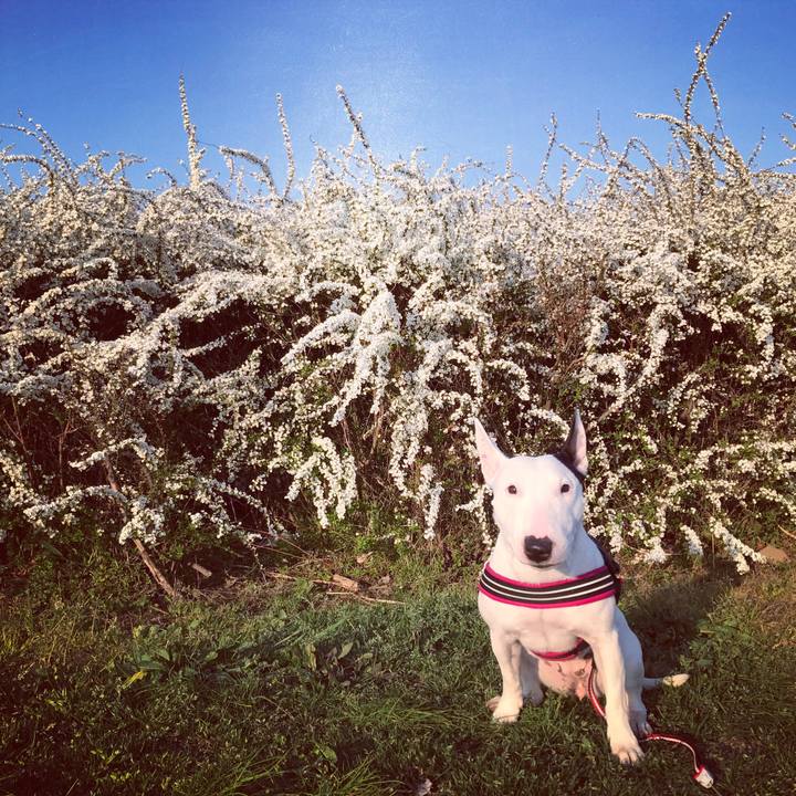 353ac669 dead 44dd 9b51 b3891c161d6e