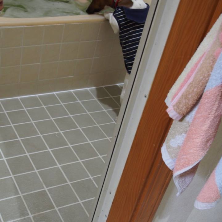 353ad78d fe9f 4a36 8073 95b9d8c1a639