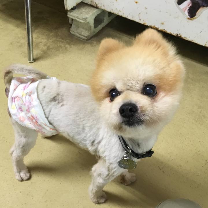 353ae974 eb9d 49d1 8648 19c71db96fcf