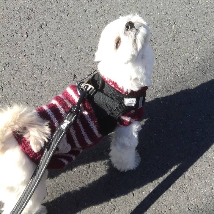 353bdc15 05b1 40cd a622 0f9d2b25515a