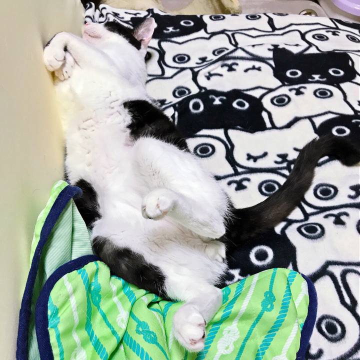 353c3afa 3f39 4e60 9a86 ddd5491dc021