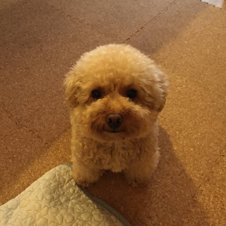 353c49ef b3d5 453b 930a f0b2d1eb2214