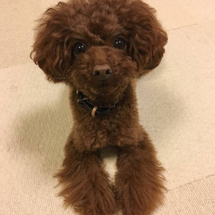 353cdf8f 2368 4a27 ad38 6008804bb7b7