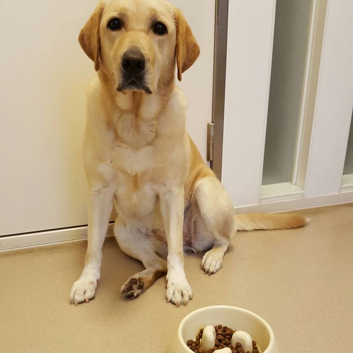 353d80ab 97b7 479e 9d3f 22e6da477705