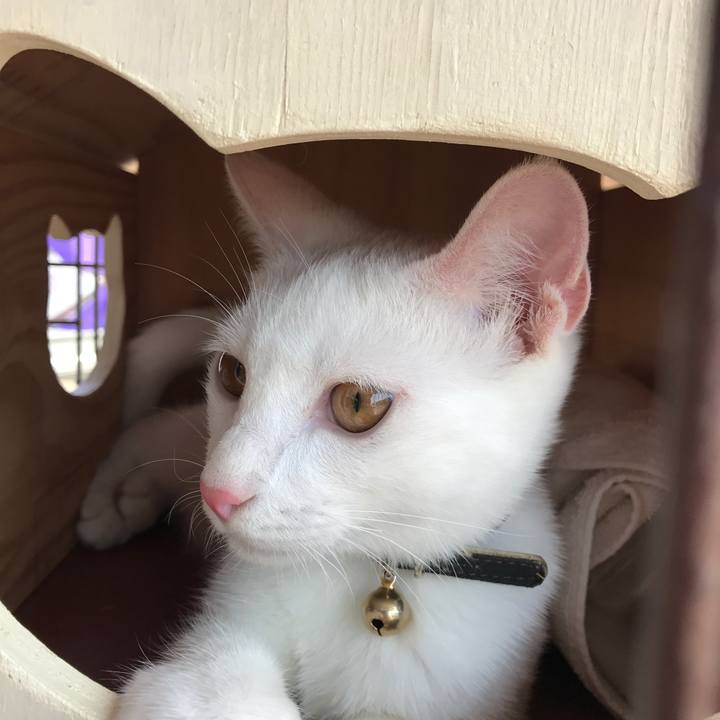 353e1c7f fa5c 44a0 9b54 131b4046a740