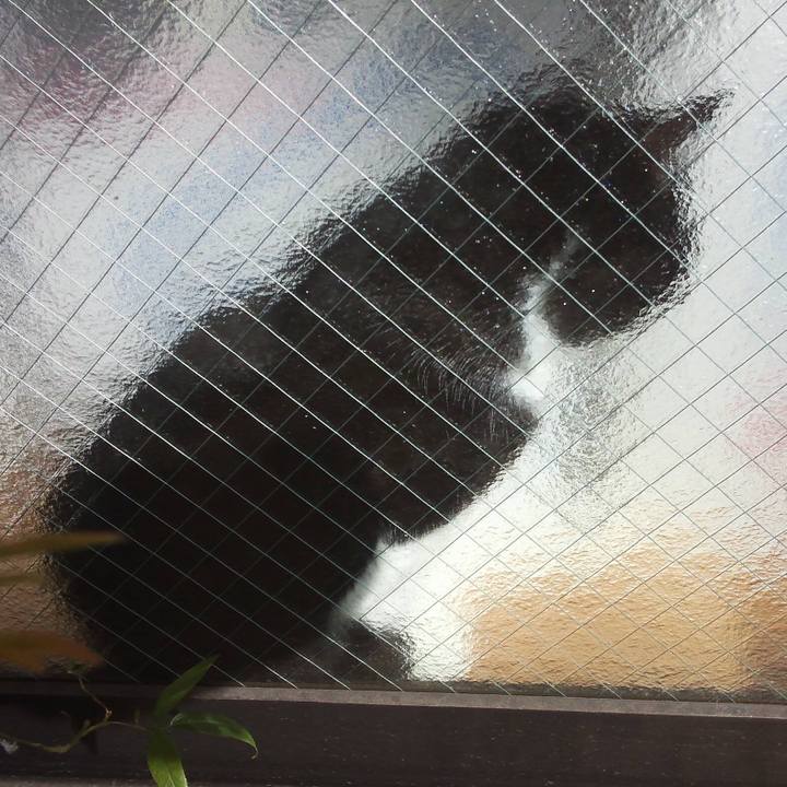 353f0925 9e93 456a bb29 707ca50e952e