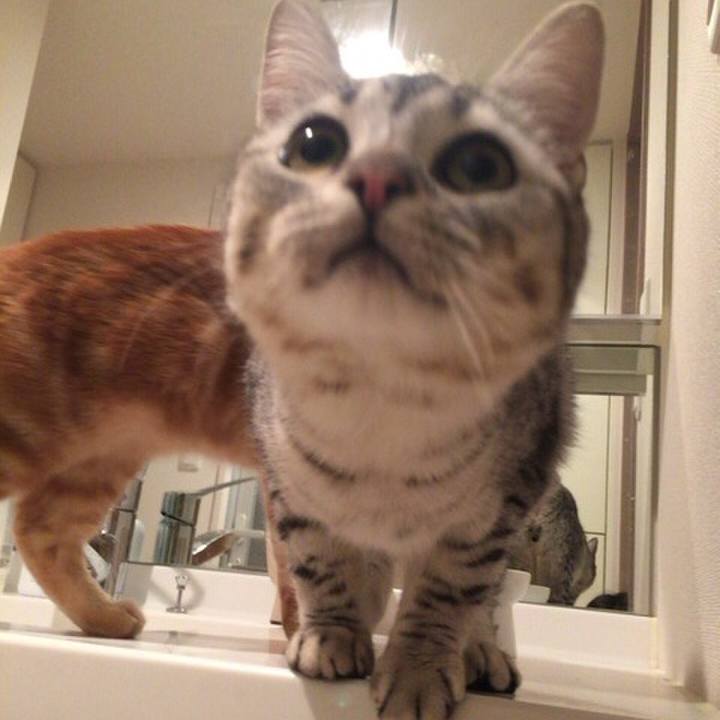 353f222a f7fa 41d7 a681 36ea37c039b0