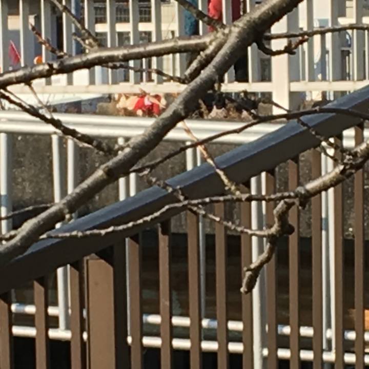 353f333f 4e24 44c2 84db 6aaa28bbe8ef