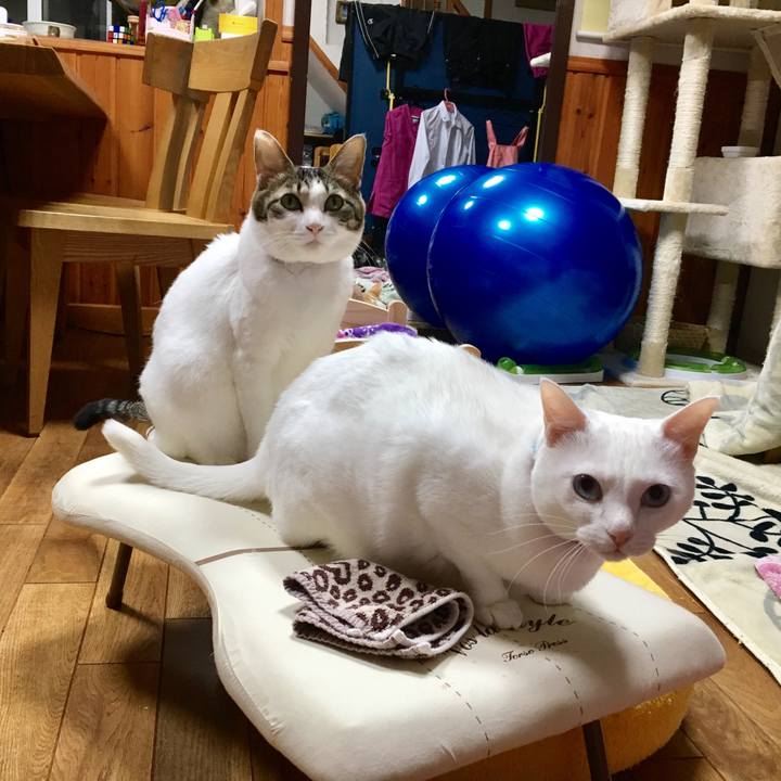 353f5f46 116a 4143 8989 f18ae280120f