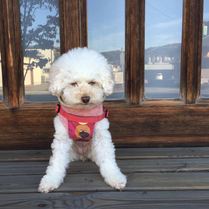 353f7136 20ee 4189 a824 229af8779145