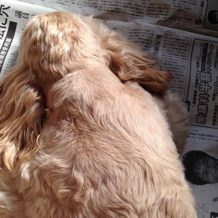 353ffcad f242 4b00 949d 494d6749691f