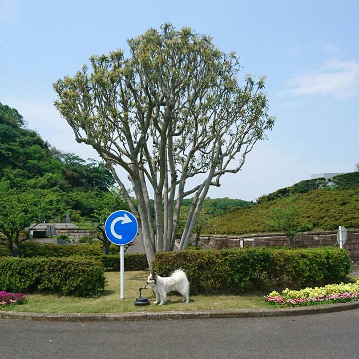 353ffd8f f5fe 4180 b253 ba8ea048ba3f