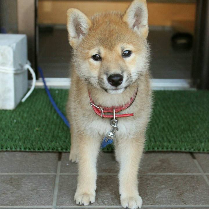 354098a5 cc01 4e0c 8771 ae9a5f8b8687