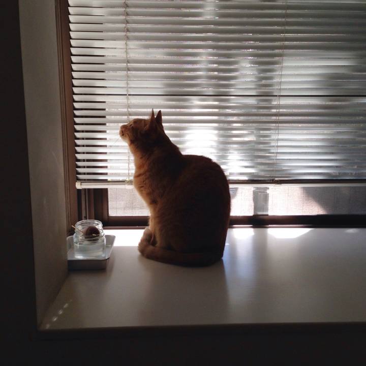 3540bb08 2881 40e1 af6e 0d143fb5c9b6