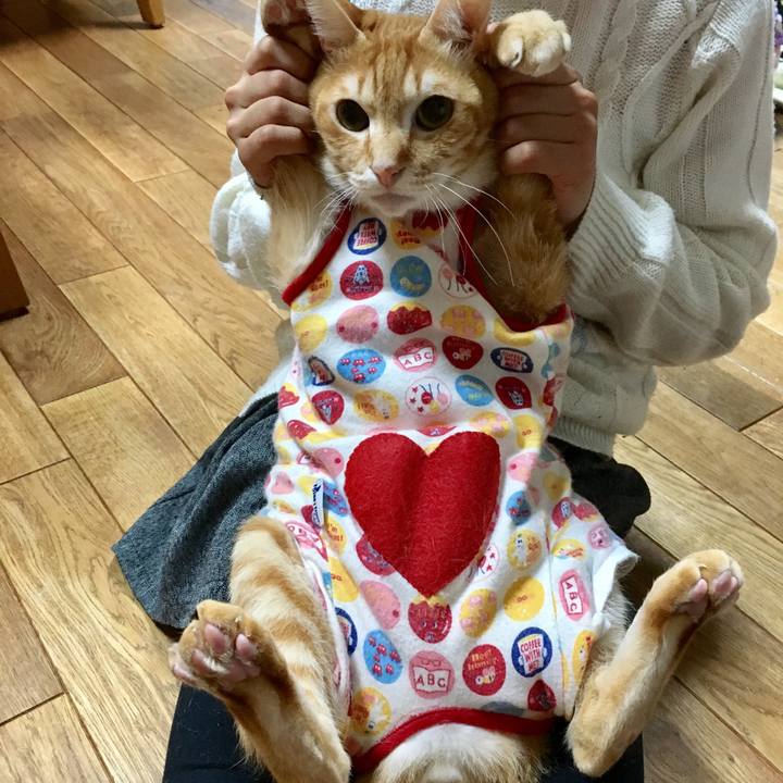 354147ee 2125 481c bec4 bbfa0460f1bf