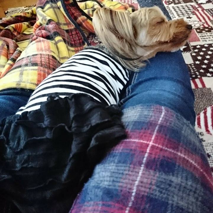 35418765 c679 4be1 ba85 a717e1d28036