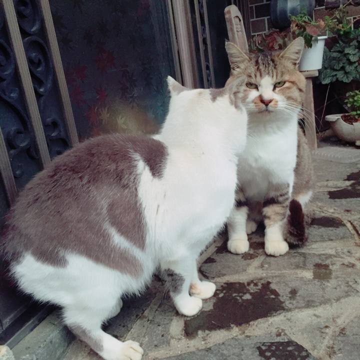 35418e64 6e9d 4b95 bddd 5a91fc49b6fc