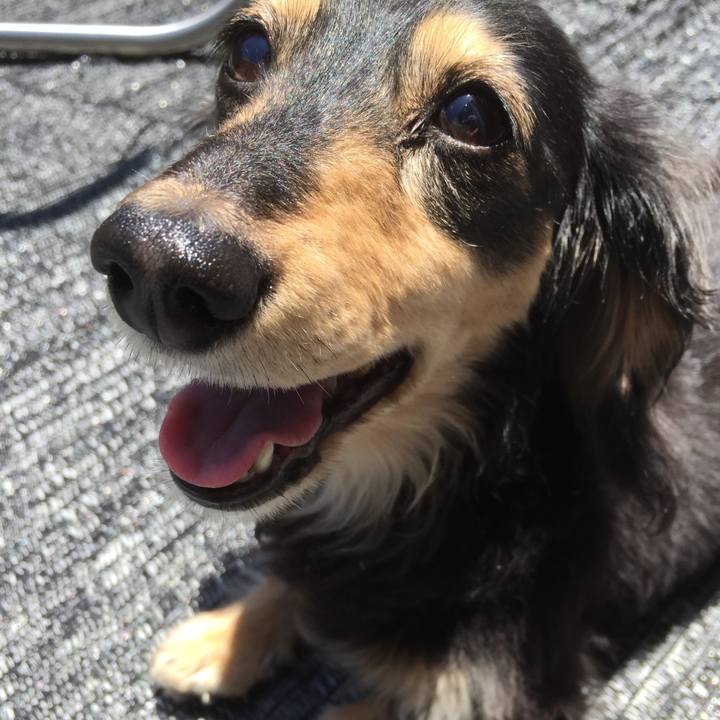 354266ee 6a65 4623 81af 9594acb995f9