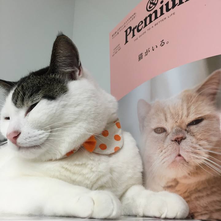 35428b71 783f 4ce3 842b 03cb0bf29513