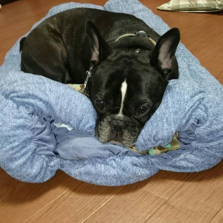 3542fbd6 53a5 4828 8a5f 6f12f86d4033