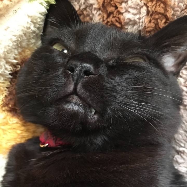 35434285 2442 48c8 9831 cb1640a568aa