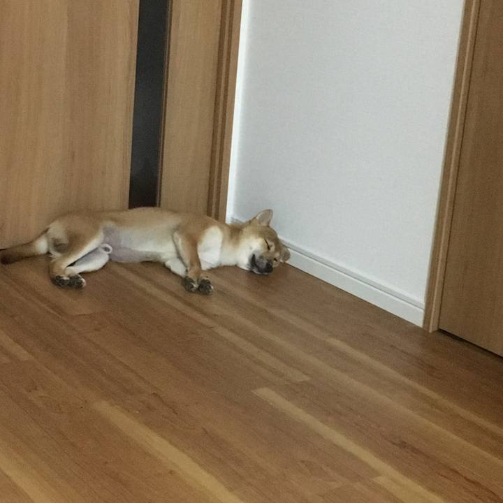 3543ca3c c30e 4d83 b759 86994839e752