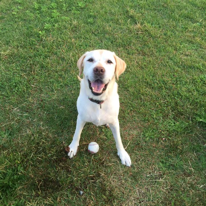 35444593 215b 472f b961 659e4e34dfe2