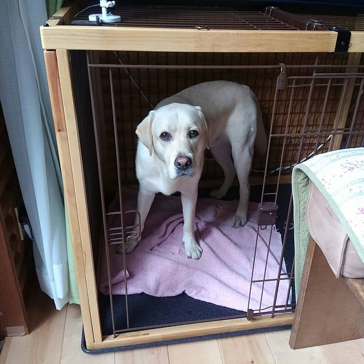 35449bcf 19ad 4a53 877e e8ab8aff55ab