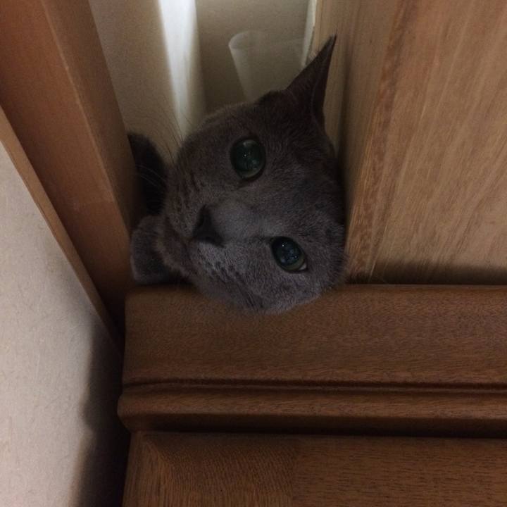 3544b199 32d0 47d7 997e 6d1e9da81c64