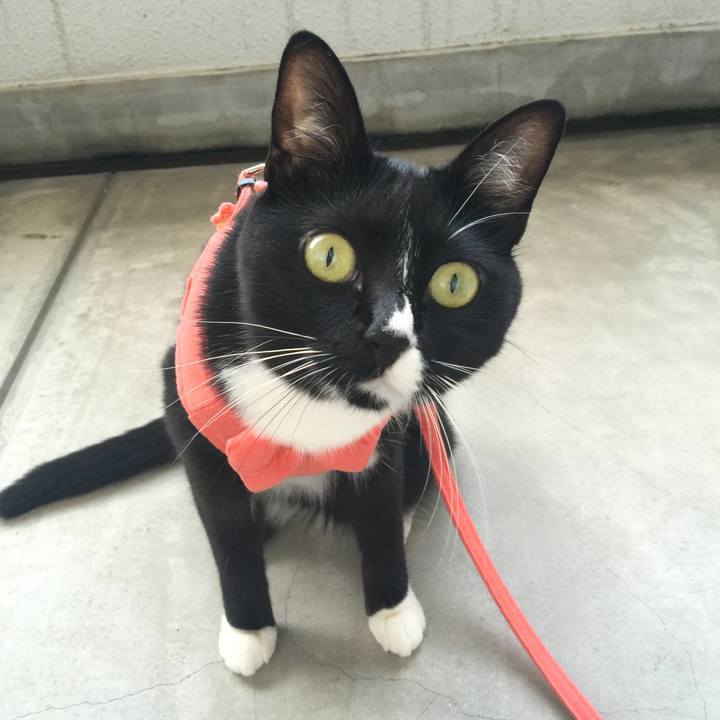 3544b930 7eda 4ac1 859f a02ffb39627a