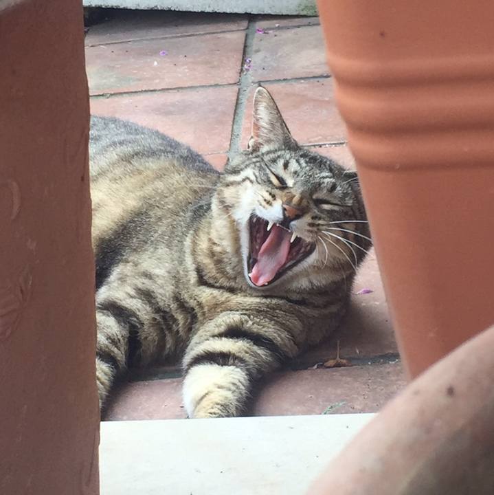 3545a2af 2b1a 41a8 90b4 d06672850a32