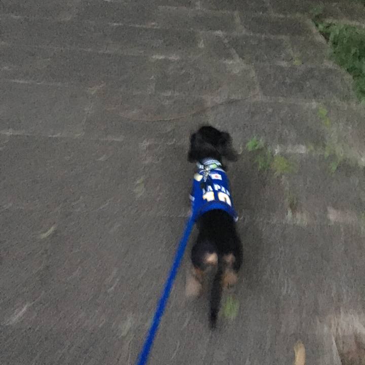 35469265 fe82 47d9 bc12 301f37c1f1da