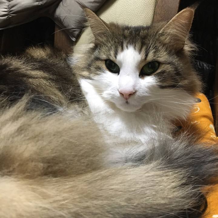 354713cd 2da5 4b4c acb2 c76413b1fc12