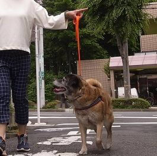 35471456 c4e7 469b 8eb0 15293d5960f3