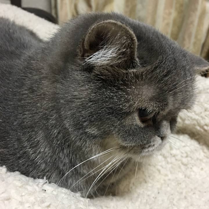 354730d1 1931 4d5a b642 4ca119d0404a