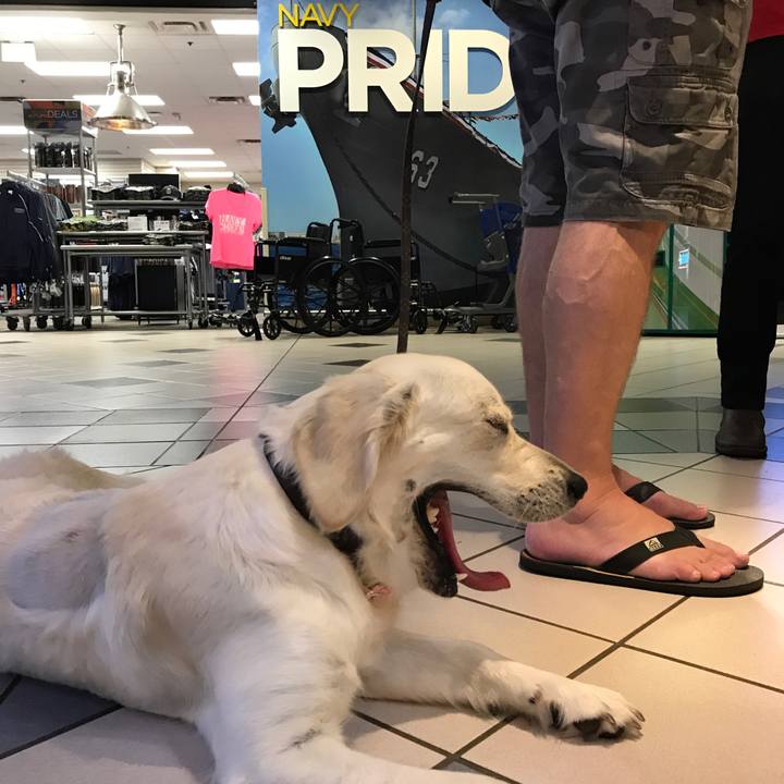 35474682 b62c 4d21 9962 64f4e0155ac9