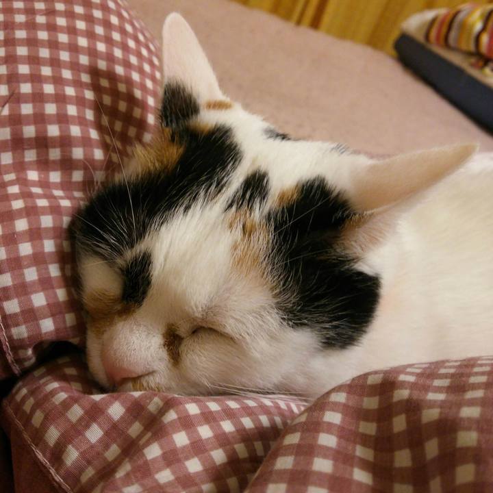 3547da45 ebf8 4d5e a3c9 1f4dae483526