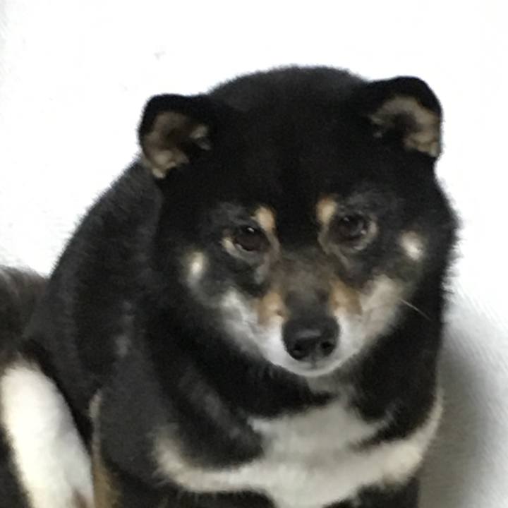 3547de5e 29de 4821 bb53 b8af1e270bac