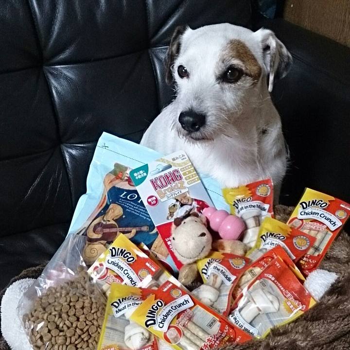 35481db4 c3fc 409f 827a f77a21b082b6