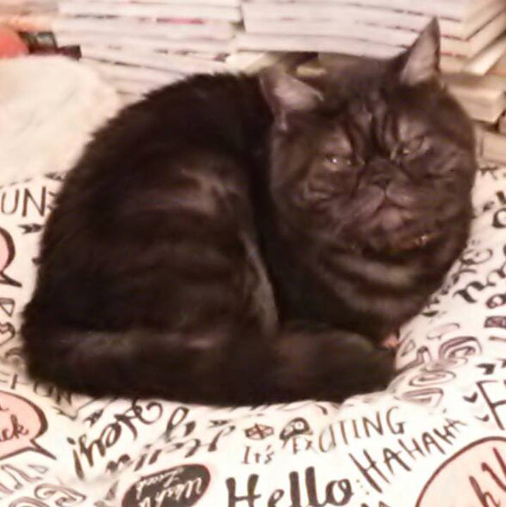 35482d4a 8868 42f1 803a 0c27b833e750